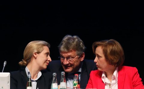 Alice Weidel (L), Jörg Meuthen and Beatrix von Storch (R) / AFP PHOTO / Ina Fassbender
