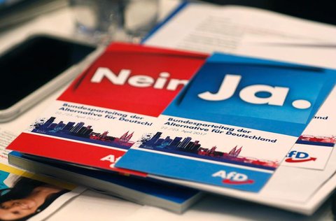 Abstimmungskarten beim Bundesparteitag der AfD in Köln. PHOTO: Ina Fassbender/AFP