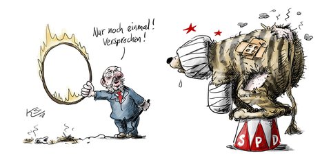 Wie unser Karikaturist Klaus Stuttmann den Zustand der SPD nach den Sondierungsgesprächen sieht. Mehr Karikaturen unter: tagesspiegel.de/karikatur 