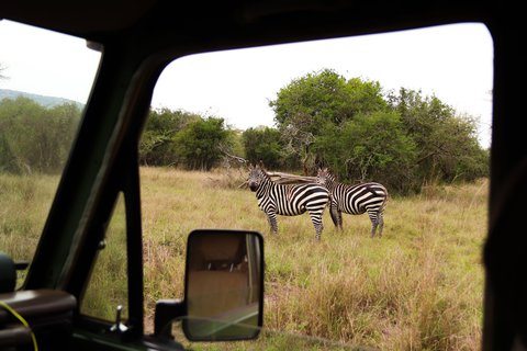 Aus einer bequemen Situation beobachten — so kommt mir mein Leben hier vor.