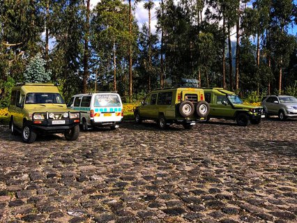 Süßer Linienbus zwischen Riesen-Jeeps.