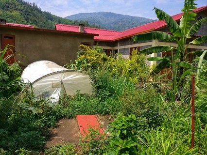 Biogasanlage — die Kuh hilft beim Kochen.