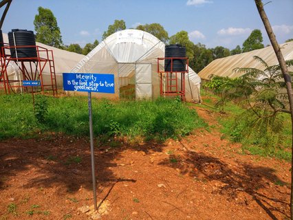 Gewächshäuser und Motivationssprüche.