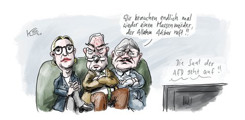 Die AfD-Spitze nach Hanau