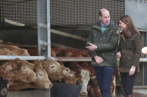 Der britische Prinz William, Herzog von Cambridge, und seine Frau Kate, Herzogin 
von Cambridge, besuchen das Teagasc Animal & Grassland Forschungszentrum 
während ihres dreitägigen Besuchs in Irland.