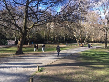 Der Lietzensee am Samstagnachmittag. 