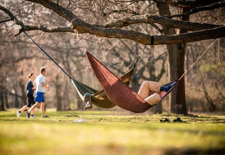 Die nächsten zwei Tage soll das Wetter in Berlin sonnig werden und verführt zum längeren Verweilen im Park.