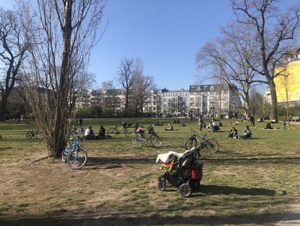 Viele Menschen sonnen sich auf der Wiese am Lietzensee.