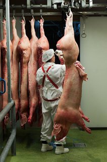 Die Arbeitsbedingungen in der Fleischverarbeitung sind laut Experten schlecht und somit besonders anfällig für Infektionsketten.