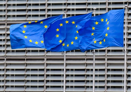 Die EU-Kommission in Brüssel hat eine Website mit Infos zu den einzelnen Ländern freigeschaltet.