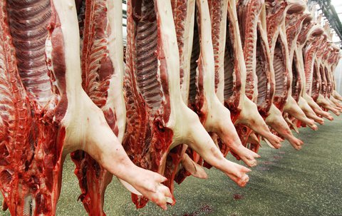 Schlachthöfe sind nicht nur für Tiere gefährlich