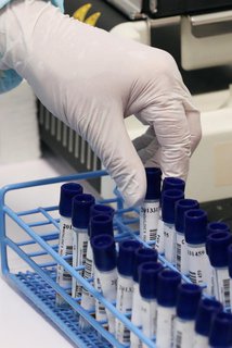 Ein Laborant untersucht Tests.