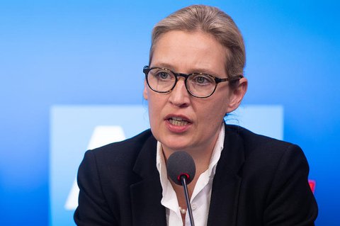 Ο αρχηγός της ομάδας της AfD Alice Weidel.