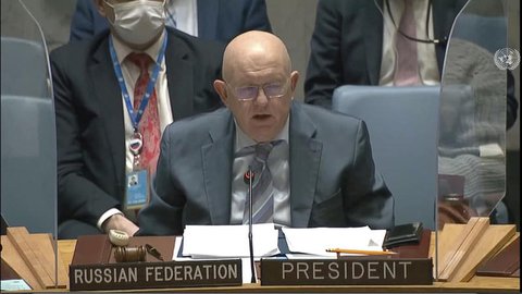 Russland UN-Botschafter Wassili Nebensja