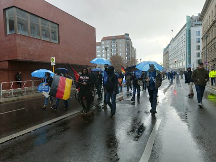 AfD-Demo