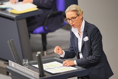 Alice Weidel