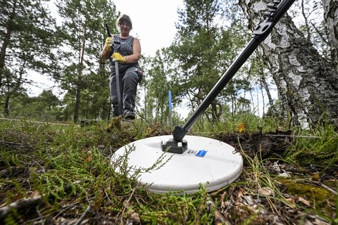 Munitionsberger arbeiten an der Kampfmittelbergung auf dem ehemaligen Truppenübungsplatz in der Kyritz-Ruppiner Heide.