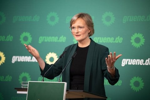 Die Grünen-Co-Vorsitzende: Franziska Brantner.