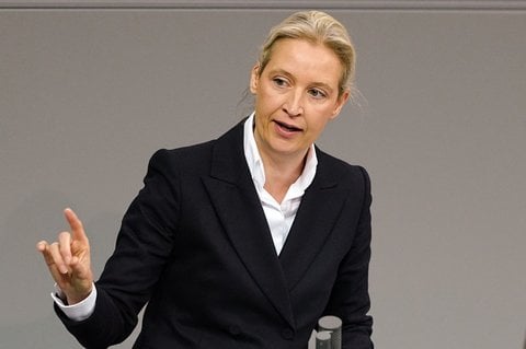 Co-Chefin der AfD: Alice Weidel. 
