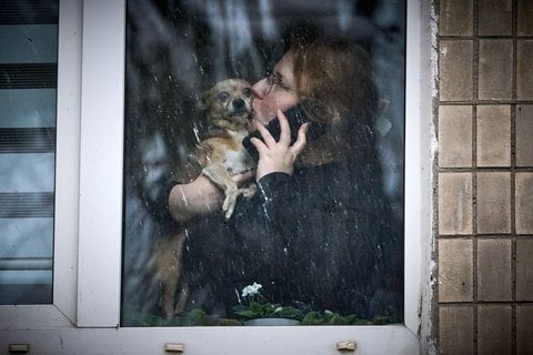 Durch ein Fenster sieht man auch eine Frau, die ihren Hund beruhigt und telefoniert.